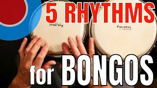 Five Rhythms for Bongos  Easy [upl. by Oivatco]