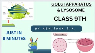 CLASS 9TH GOLGI APPARATUS and LYSOSOME BOTH IN HINDI AND ENGLISH [upl. by Atekihc]