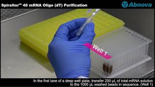 What is Primer RNA Primer tRNAPrimer OligodT20 Random Primers oligonucleotide [upl. by Iroak]