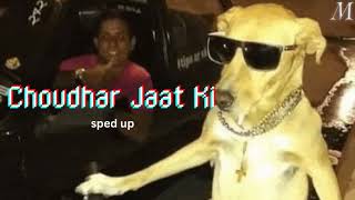 CHOUDHAR JAAT KI  sped up amp reverb [upl. by Anirbas616]