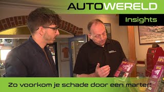 Zo voorkom je schade door een marter  RTL Autowereld [upl. by Gowrie]