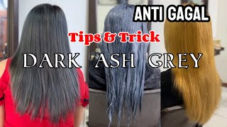 Tips dan trik Bikin warna rambut dark ash grey hanya di dasar lev8 [upl. by Ahsinned436]