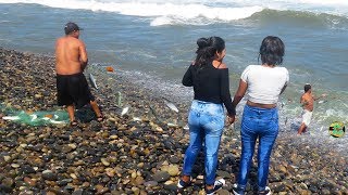 Hombres Expertos Pescan Lisas Grandes en el Mar con Red  Pesca con Red Arrastre [upl. by Joo]