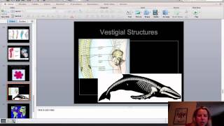 BIO 112 Evolution Darwin Part III [upl. by Narat931]