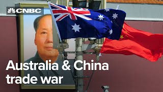 How Australia and Chinas trade relationship broke down  CNBC Explains [upl. by Nitsed298]