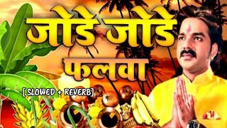 Jode Jode Falwa  Chatth Puja Special  Sweet Song [upl. by Eidnil471]