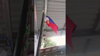 Philippines flag waving fast 60 second long [upl. by Euqinim]