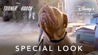 Special Look  Turner amp Hooch  Disney [upl. by Esorbma]