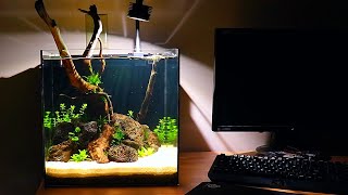 Waterbox Cube 10  Aquascape Setup [upl. by Eadwina]