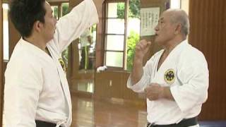 Shorinryu Seibukan History of karate Part 2 33 [upl. by Azalea]