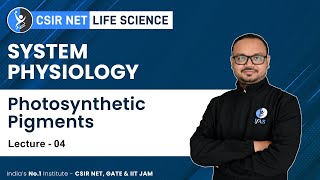 Photosynthetic Pigments  System Physiology  CSIR NET Exam For Life Science [upl. by Sirak]