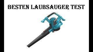 5 Besten Laubsauger Test 2021 [upl. by Wilburt]