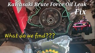 Kawasaki Brute Force Oil Leak Fix [upl. by Friedland846]