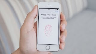 How Does Fingerprint Scanning Work [upl. by Nywles776]