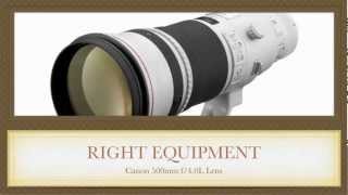 Lens For Wildlife Photography  Best Lens For Wildlife Photography [upl. by Sparky236]