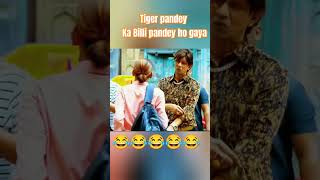 Tiger pandey comedy funny comedy comedyshorts [upl. by Ijuy]