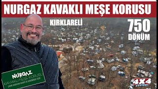 Karavan Kamp Alanları 2 Nurgaz Kavaklı Meşe Korusu [upl. by Laise]