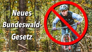 Neues Gesetz Massive Einschränkungen für Mountainbiker Das können wir tun  Julian Schneider [upl. by Llet]