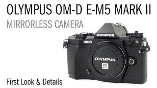 Olympus EM5 Mark II Underwater Photo amp Video Review  First Look and Details [upl. by Normak]