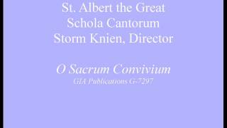 O Sacrum Convivium  Storm Knien [upl. by Sixele565]