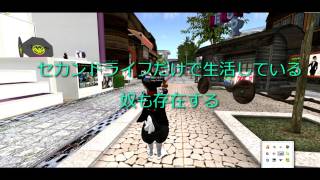 セカンドライフとは？ secondlife [upl. by Nahtiek]