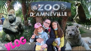 VLOG  Une journée au zoo dAmnéville [upl. by Daveda763]