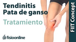 Tratamiento de la tendinitis de la pata de ganso [upl. by Jaquelin]