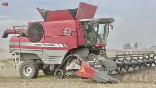 MASSEY FERGUSON 9520 Combine on Tracks [upl. by Ohce20]