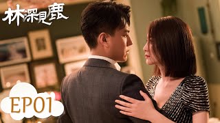 ENG SUB《林深见鹿 Nice To Meet You Again》第01集——林绍涛被迫和简艾离婚（靳东、李小冉） [upl. by Mullen]