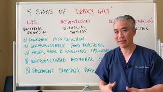 Leaky Gut DysbiosisIntestinal PermeabilityUltimate Comprehensive Guide [upl. by Allimaj]