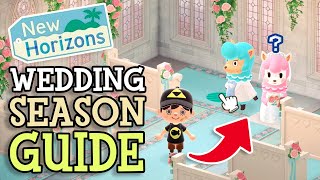 Animal Crossing New Horizons WEDDING SEASON GUIDE Everything You Need To Know About Heart Crystals [upl. by Ahsinet357]