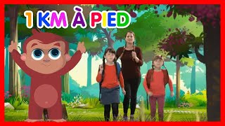 1 Km à pied  Les Amis de Boubi Comptines pour enfants [upl. by Aldric]