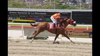 TIMEKEEPER EN ACCION DOMINGO 21102018 [upl. by Acirret631]