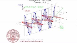 Linear Polarization Animation [upl. by Xever]