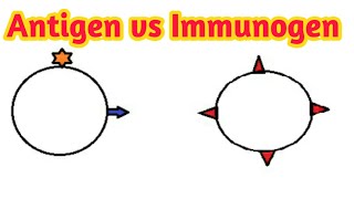 Antigen vs immunogendifference between antigen and immunogenantigenimmunogen [upl. by Llenoil]