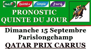 PRONOSTIC PMU QUINTE DU JOUR DIMANCHE 15 SEPTEMBRE 2024 Parislongchamp Qatar prix Carrus R1 C4 [upl. by Lanaj]