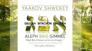 SHWEKEY  Aleph Bais Gimmel [upl. by Nohpets492]