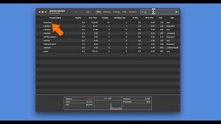 Fix fseventsd high CPU and high memory usage on your Mac [upl. by Sukram644]