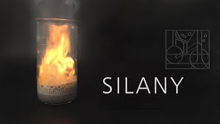 Silany [upl. by Filmer]