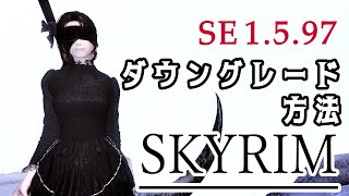 スカイリムSE1597へのダウングレード方法 ※説明欄に文字化け追記【Skyrim】 [upl. by Salahcin398]