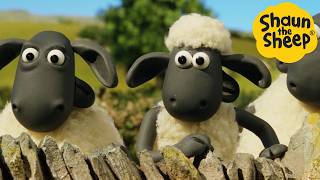 Shaun the Sheep 🐑 Panic at the farm  Cartoons for Kids 🐑 Full Episodes Compilation 1 hour [upl. by Eilarol]