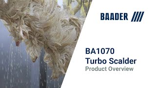 BAADER 1070 Turbo Scalder with Picking [upl. by Assirak]