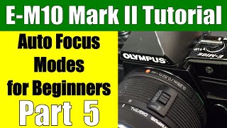 Olympus OMD EM10 II Autofocus Modes for Beginners Part 5 [upl. by Kcorb520]