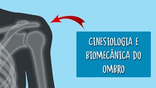 Cinesiologia e biomecânica do ombro [upl. by Malley]