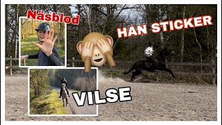 FLYGER AV OCH RIDER VILSE I SKOGEN  STALLVLOGG [upl. by Maples]