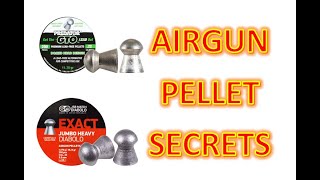 Airgun Pellet SECRETS How To Choose the RIGHT Pellet [upl. by Delogu]