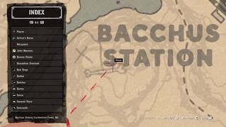 Read Dead Redemption 2 High Stakes Treasure Map 3 location [upl. by Ebsen196]