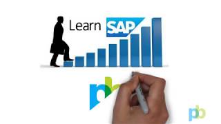 SALR87012277  Generate Trial Balance in SAP [upl. by Celestia]