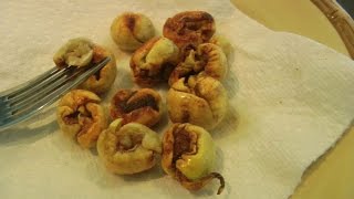 Cooking With Malabar Chestnuts  Pachira aquatica  Saba Nut  Video [upl. by Silda]