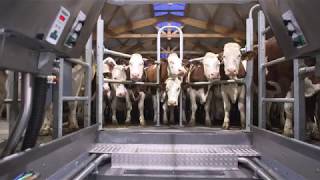 GEA Dairy Farming  GEA DairyParlor P7550 [upl. by Aitam288]